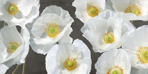 Framed Poppy Arrangement (Chalkboard) Print