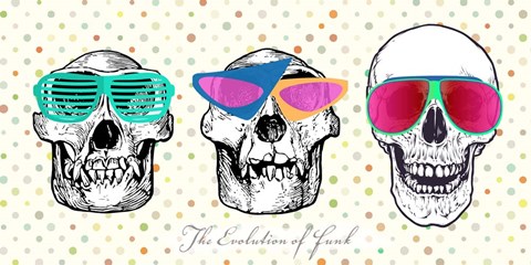 Framed Evolution of Funk Print