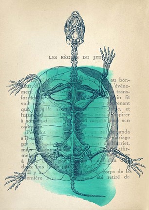 Framed Memories of the Wild I Print