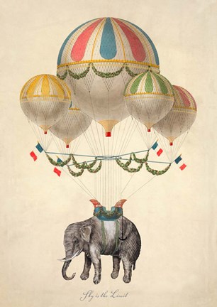 Framed Sky is the Limit Print