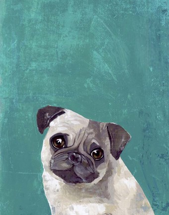 Framed Pug Puppy Print