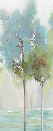 Framed Enlightenment Forest II Print