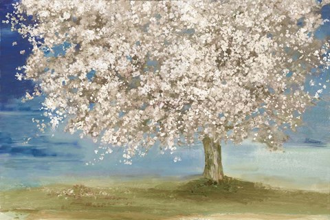 Framed Silent Patience Print