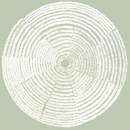 Framed Circles of Life I Print