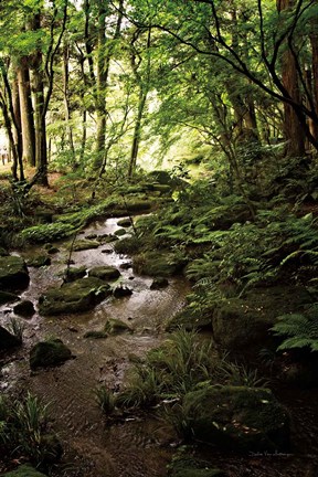 Framed Lush Creek in Forest Print