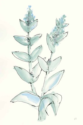 Framed Lambs Ear Sage III Print