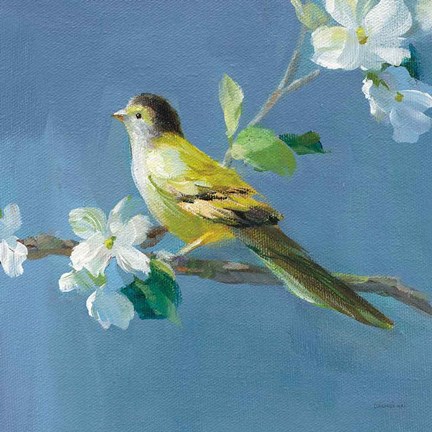 Framed Spring in the Neighborhood V Print