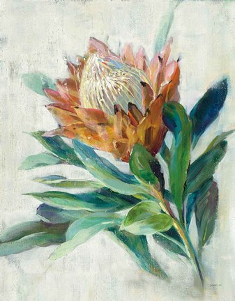 Framed Protea Print