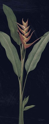 Framed Dramatic Tropical IV Light Crop Print