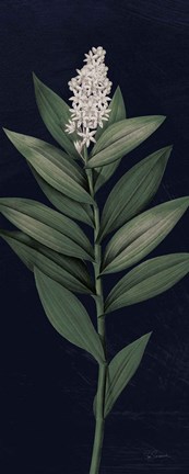 Framed Dramatic Tropical III Light Crop Print