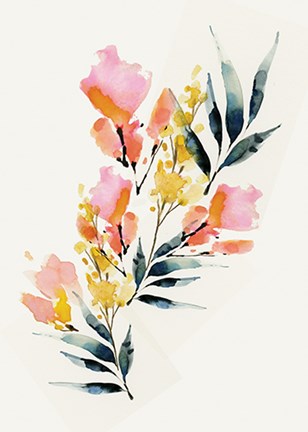 Framed Floral II Print