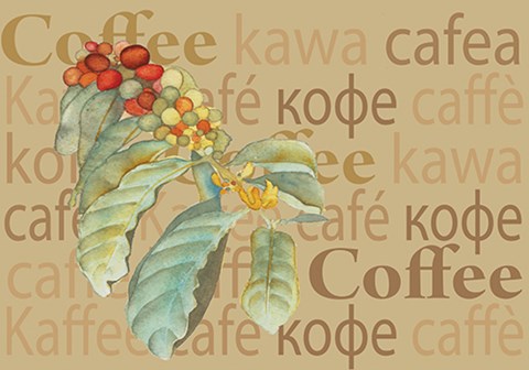 Framed Coffee Print