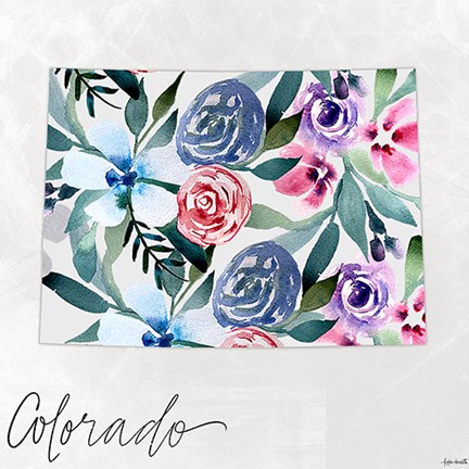 Framed Colorado Print