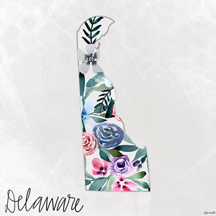 Framed Delaware Print