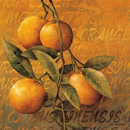 Framed Orange Branch Print