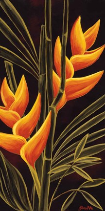 Framed Heliconia Print
