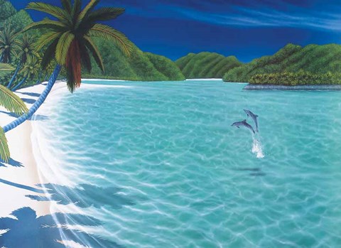 Framed Trunk Bay Print