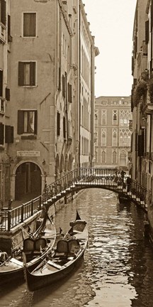 Framed Venice Reflections Print