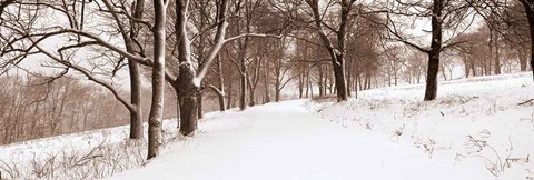 Framed First Snow I Print