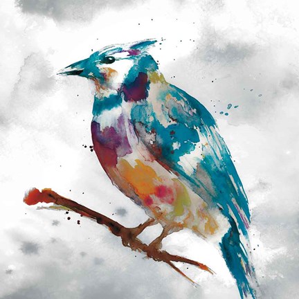 Framed Blue Jay Print