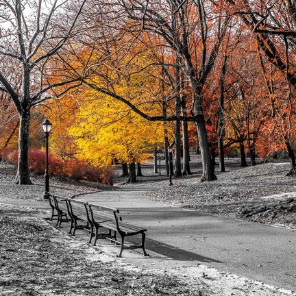 Framed Park Pretty I Print