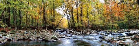 Framed Porters Creek Print