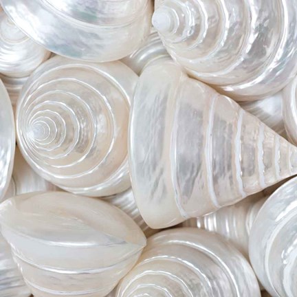 Framed Opalesque II Print