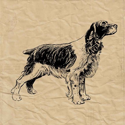Framed Spaniel Print