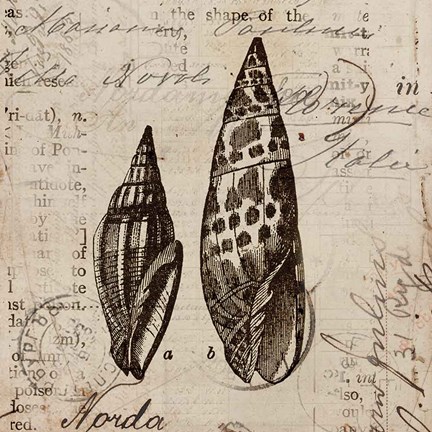 Framed Ocean Collection III Print