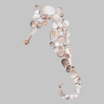 Framed Seahorse Print