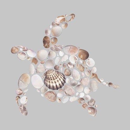 Framed Sea Turtle Print