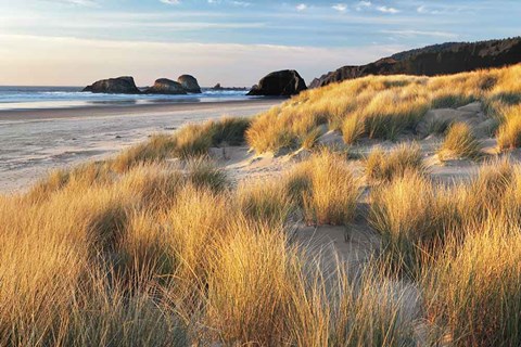 Framed Dune Grass And Beach Print