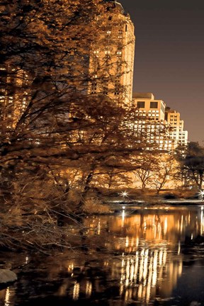 Framed Central Park Glow I Print