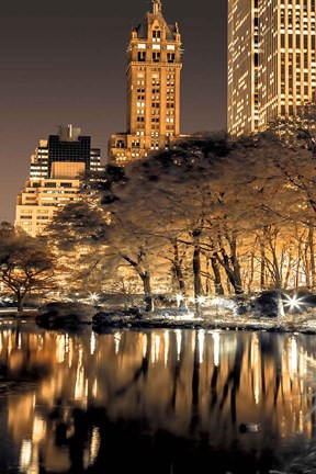 Framed Central Park Glow II Print