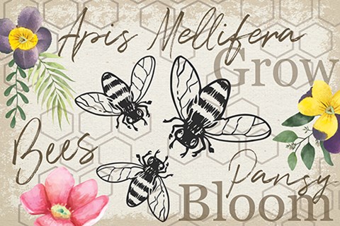 Framed Botany Art V Print