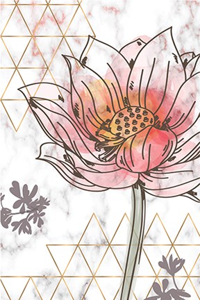 Framed Spring Elegance II Print