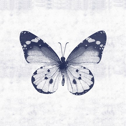 Framed Blue Butterfly I Print