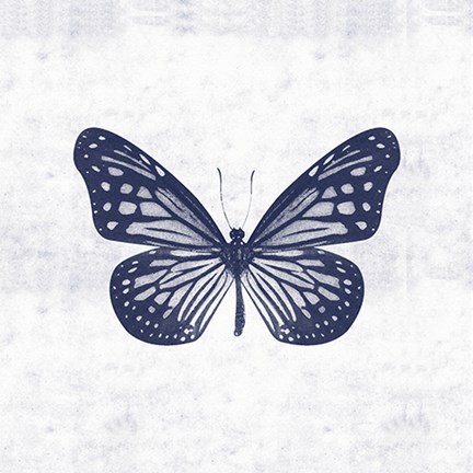 Framed Blue Butterfly II Print
