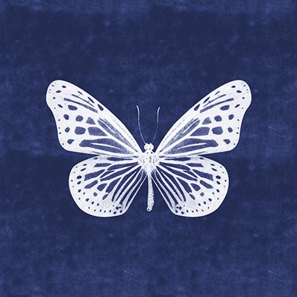 Framed White Butterfly II Print