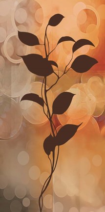 Framed Flora II Print