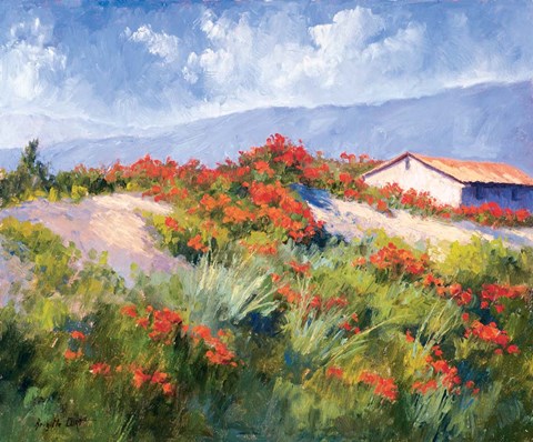 Framed Spring Poppies Print