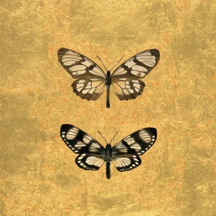 Framed Pair of Butterflies on Gold Print