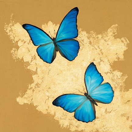 Framed Cerulean Butterfly I Print