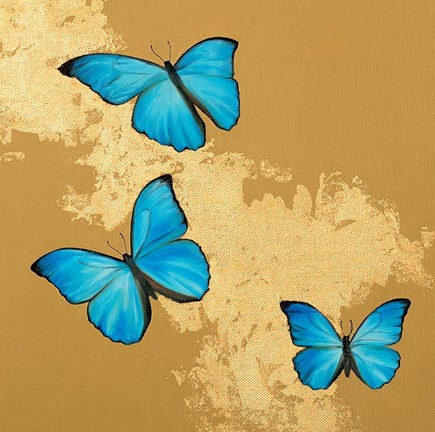 Framed Cerulean Butterfly II Print