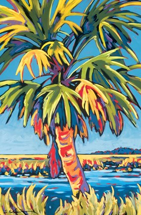 Framed Pine Island Palm Print