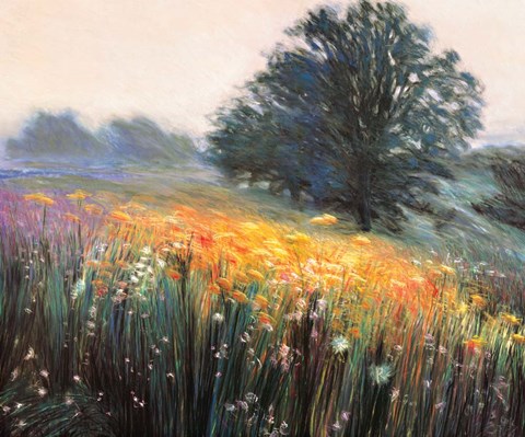 Framed Misty Morning III Print