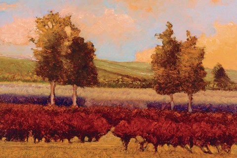 Framed St. Pierre Print