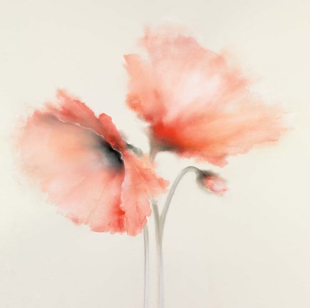 Framed Pink Chiffon II Print