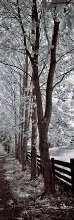 Framed Walk To Remember II Print