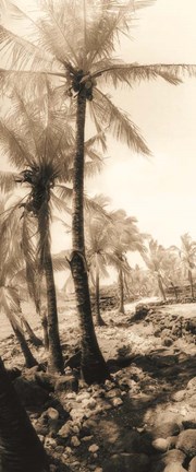 Framed Equatorial Breeze I Print